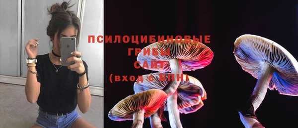 гашик Балабаново