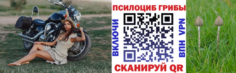 Псилоцибиновые грибы прущие грибы  Лаишево 